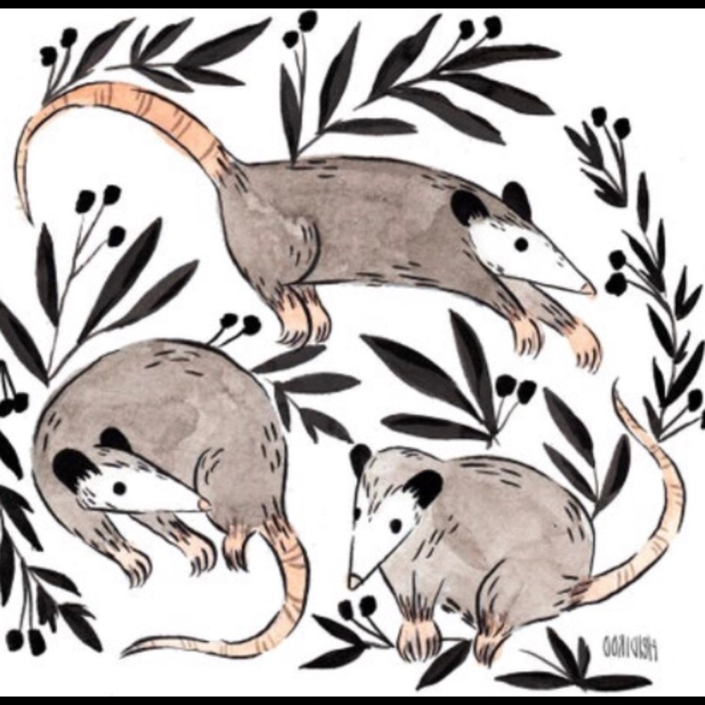 Meet your Posher, Anna